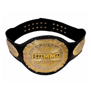 WWE SPINNER CHAMPIONSHIP TITLE BELT VIDEO REVIEW  YouTube